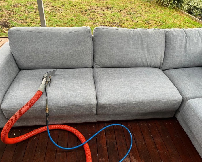 couch steam cleaning service
