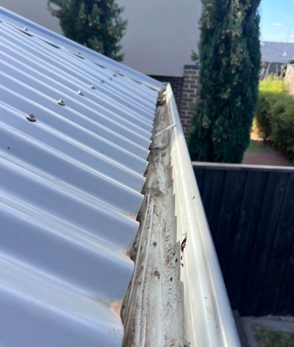 Close-up of a house gutter that is cleaned by professional cleaners